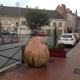 BULBO-CORT